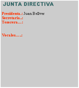 Cuadro de texto:  JUNTA DIRECTIVAPresidenta.: Juan BellverSecretaria..: Tesorera�: Vocales�..: 	                              